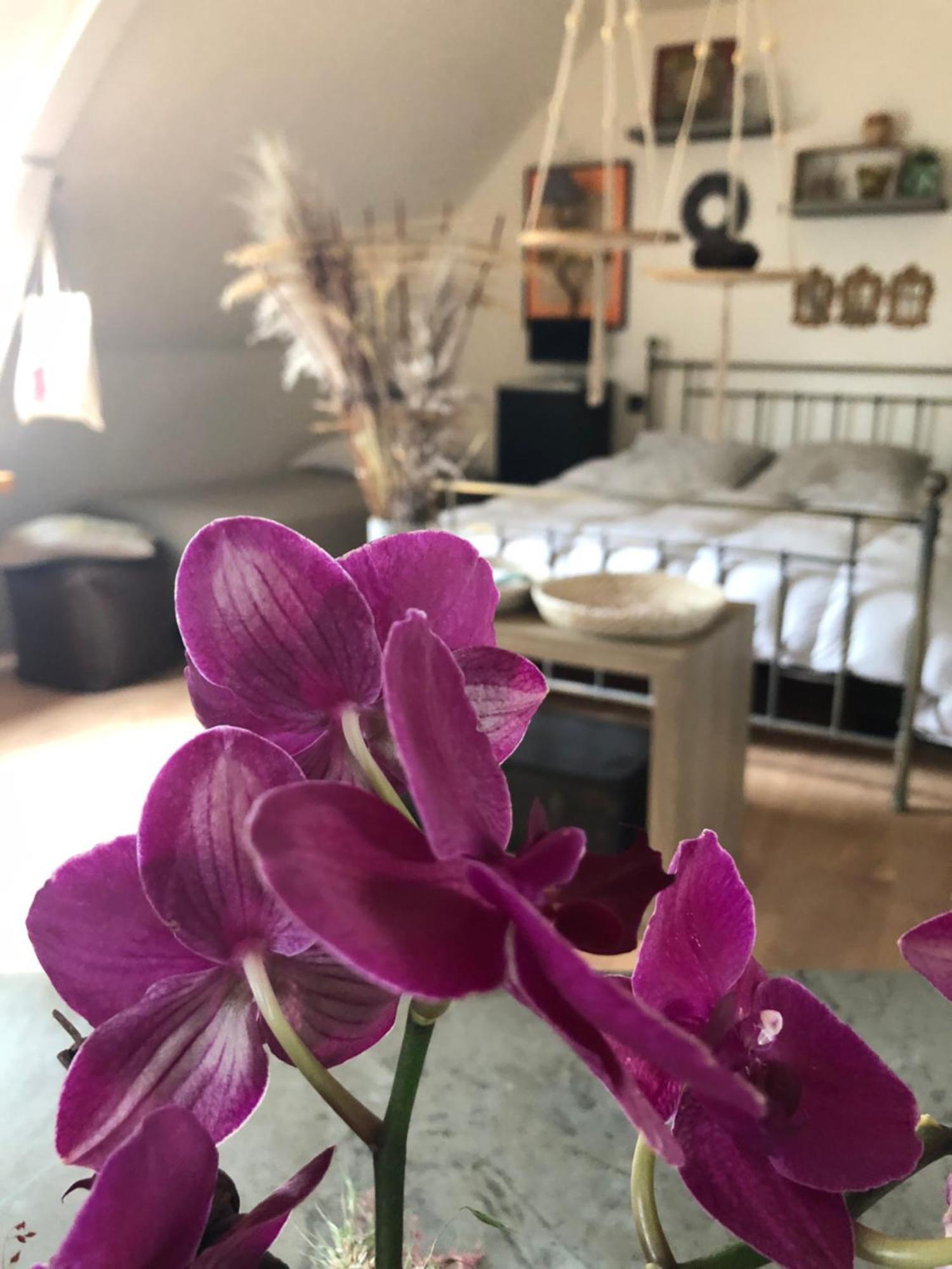 Bed and Breakfast La Thibautiere Blaison Экстерьер фото